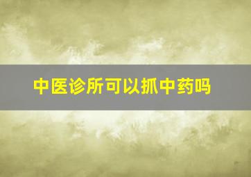 中医诊所可以抓中药吗