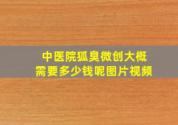 中医院狐臭微创大概需要多少钱呢图片视频