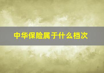 中华保险属于什么档次