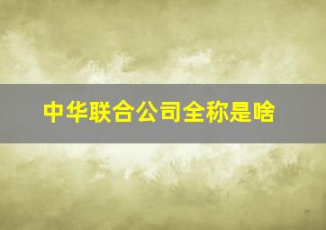 中华联合公司全称是啥