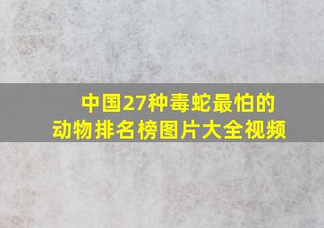 中国27种毒蛇最怕的动物排名榜图片大全视频