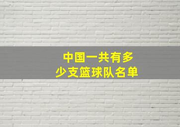 中国一共有多少支篮球队名单