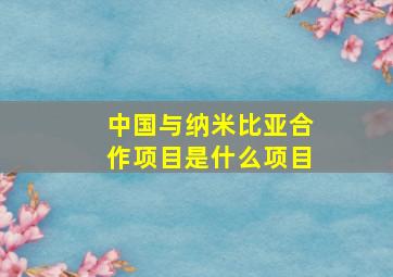 中国与纳米比亚合作项目是什么项目