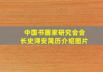 中国书画家研究会会长史浔安简历介绍图片