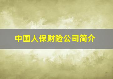 中国人保财险公司简介