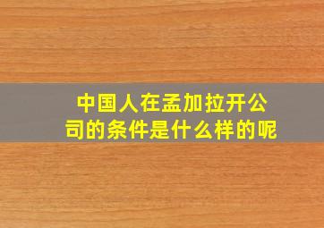 中国人在孟加拉开公司的条件是什么样的呢