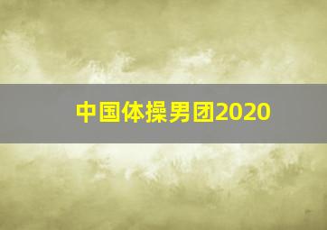 中国体操男团2020