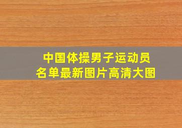 中国体操男子运动员名单最新图片高清大图