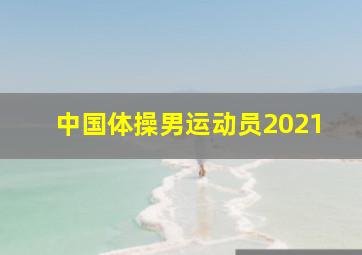 中国体操男运动员2021