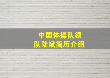 中国体操队领队陆斌简历介绍