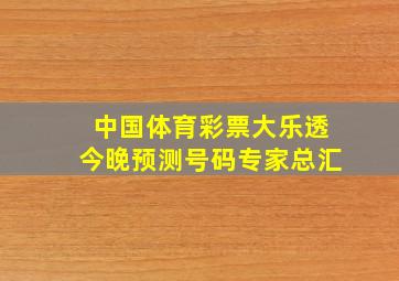 中国体育彩票大乐透今晚预测号码专家总汇