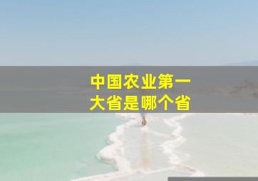 中国农业第一大省是哪个省