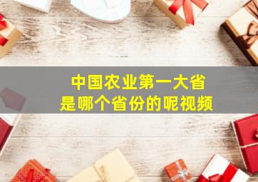 中国农业第一大省是哪个省份的呢视频