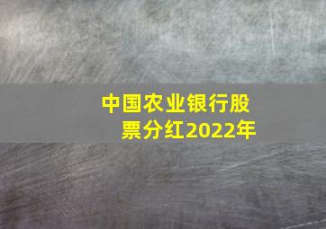 中国农业银行股票分红2022年