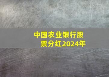 中国农业银行股票分红2024年