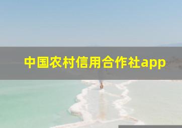 中国农村信用合作社app