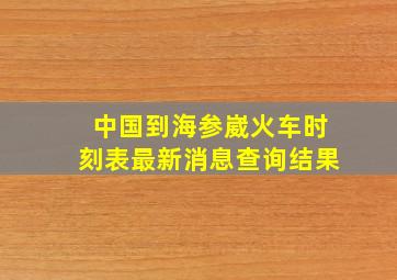 中国到海参崴火车时刻表最新消息查询结果