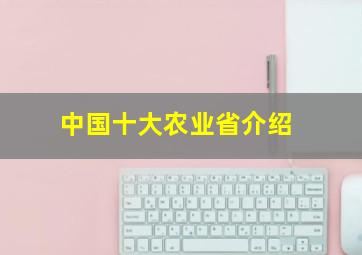 中国十大农业省介绍