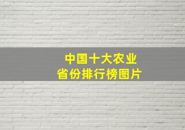 中国十大农业省份排行榜图片