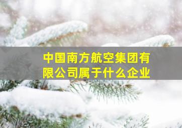 中国南方航空集团有限公司属于什么企业