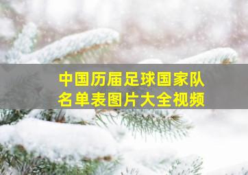 中国历届足球国家队名单表图片大全视频