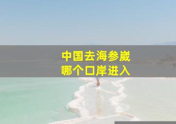 中国去海参崴哪个口岸进入