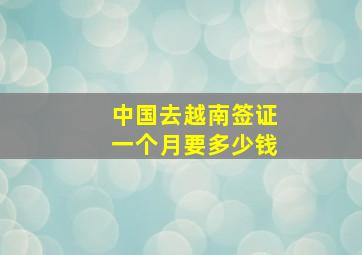 中国去越南签证一个月要多少钱