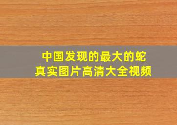 中国发现的最大的蛇真实图片高清大全视频