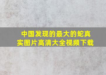 中国发现的最大的蛇真实图片高清大全视频下载