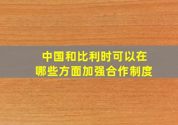 中国和比利时可以在哪些方面加强合作制度