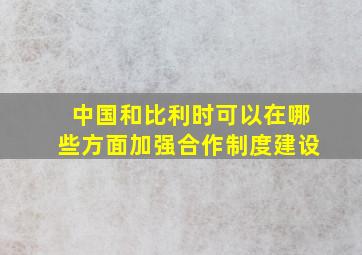 中国和比利时可以在哪些方面加强合作制度建设