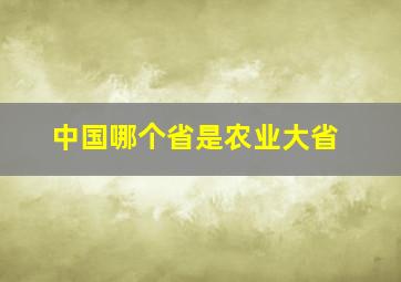 中国哪个省是农业大省