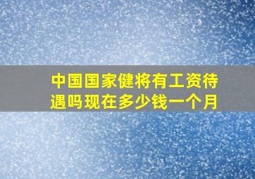 中国国家健将有工资待遇吗现在多少钱一个月