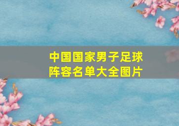 中国国家男子足球阵容名单大全图片