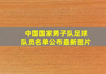 中国国家男子队足球队员名单公布最新图片