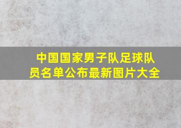 中国国家男子队足球队员名单公布最新图片大全