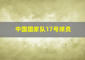 中国国家队17号球员