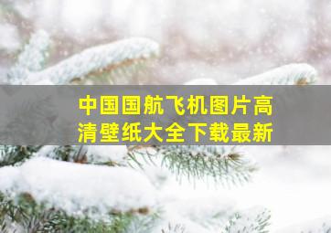 中国国航飞机图片高清壁纸大全下载最新