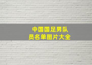 中国国足男队员名单图片大全