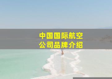 中国国际航空公司品牌介绍