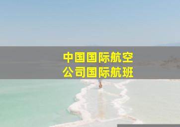 中国国际航空公司国际航班