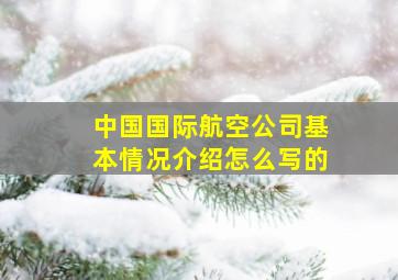 中国国际航空公司基本情况介绍怎么写的