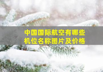 中国国际航空有哪些机位名称图片及价格