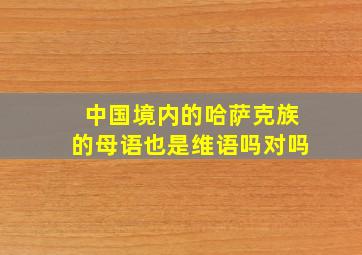 中国境内的哈萨克族的母语也是维语吗对吗