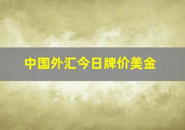 中国外汇今日牌价美金