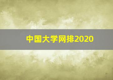 中国大学网排2020