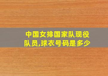 中国女排国家队现役队员,球衣号码是多少