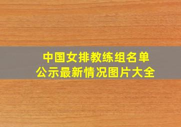 中国女排教练组名单公示最新情况图片大全