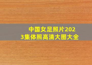 中国女足照片2023集体照高清大图大全