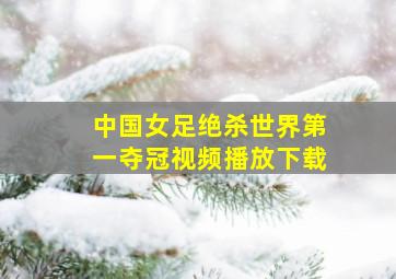 中国女足绝杀世界第一夺冠视频播放下载